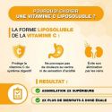 Natürliches fettlösliches Vitamin C, Acerola, Camu Camu - Solvita-C - 60 Kapseln, 1 Monat - Solage