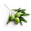 Olivie Plus 30X, Huile d'olive enrichie - Anti-oxydante, cholestérol et inflammatoire - 250ml - Olivie