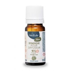 Synergie Hiver, pour diffuseur ou humidificateur - Purifier l'air - 10ml - NéoBulle