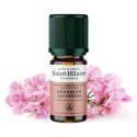 Olio essenziale di Geranio Bourbon - 5ml - De Saint Hilaire