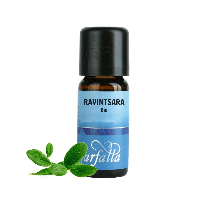 Olio Essenziale Bio - Ravintsara - 5 ml  - Farfalla