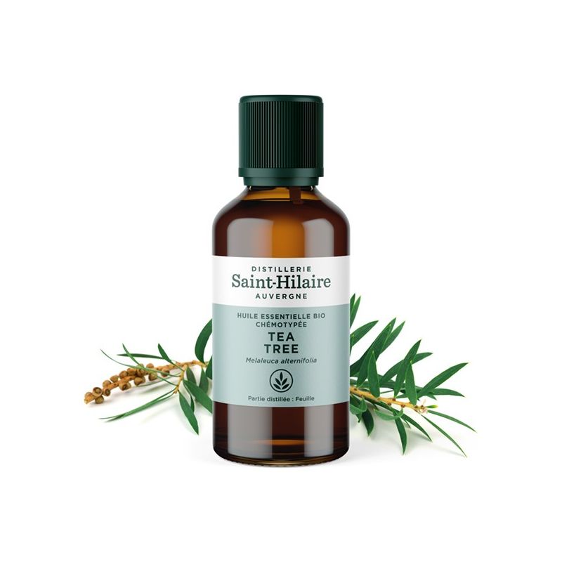 Teebaum ätherisches Öl - 50ml - De Saint Hilaire