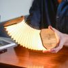 Lampada a fisarmonica in bambù - Gingko Design