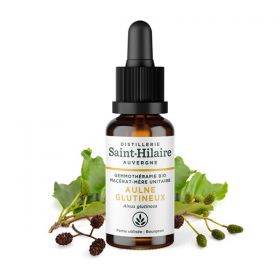 Madre-macerato biologico (glicerina) di gemme di Ontano - 30ml - Saint-Hilaire