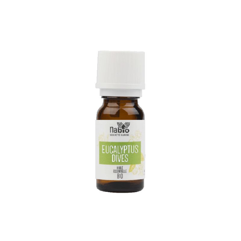 Ätherische Öle - Eucalyptus dives - (100% natürlich und BIO) - 10ml - Nabio