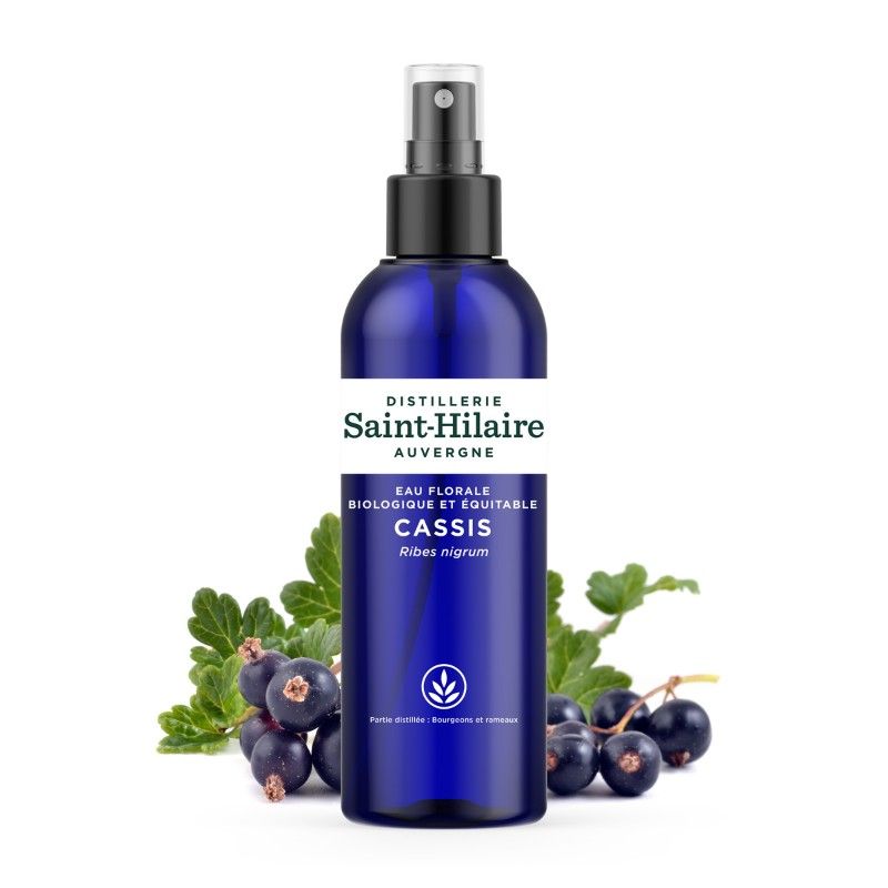 Hydrolat Aromatique BIO (Eau Florale) de Cassis - 200ml - De Saint Hilaire