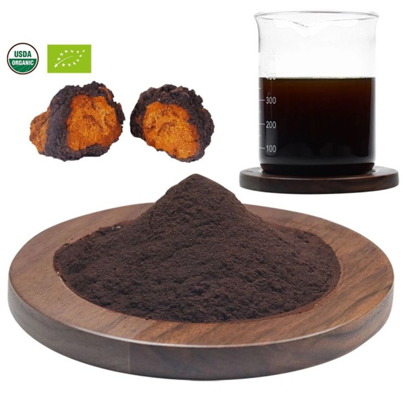 Chaga BIO - Polvere di estratto di fungo vitale - 50g - NaturKraftWerke