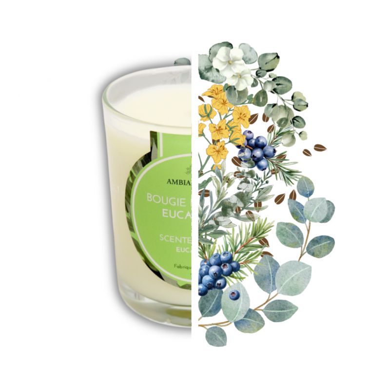 Candela ad olio Cade, profumo di Eucalipto - 400g, circa 45h - Ambiance Cade