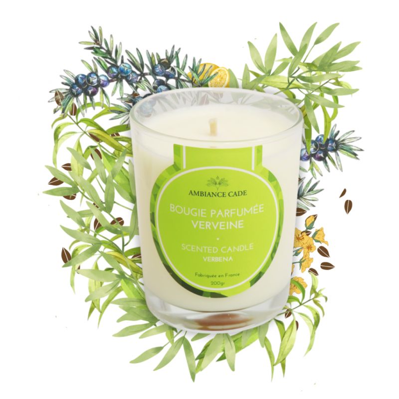 Candela ad olio Cade, fragranza Verbena - 400g, circa 45h - Ambiance Cade