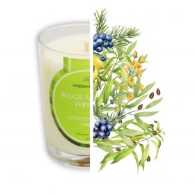 Cade Öl-Kerze, Duft Verveine - 400g, ca. 45h - Ambiance Cade