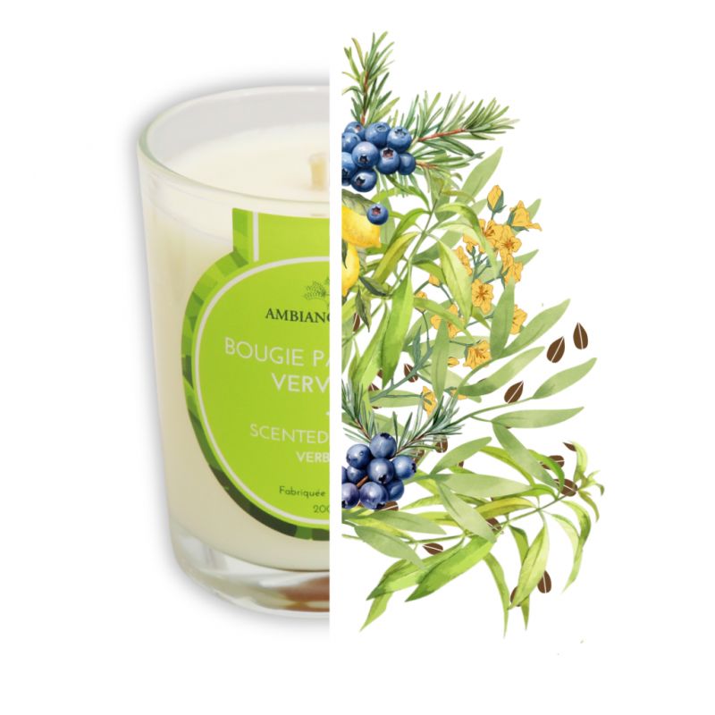 Cade Öl-Kerze, Duft Verveine - 400g, ca. 45h - Ambiance Cade