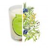Candela ad olio Cade, fragranza Verbena - 400g, circa 45h - Ambiance Cade