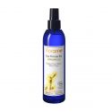 BIO Hamamelis Pflanzenwasser - 200 ml - Florame