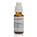 Mashav - Abschwellende Pflege der Atemwege - Spray 20ml - Herbs of Kedem 
