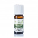 HUILE ESSENTIELLE DE CANNELLE ECORCE - 5ML - DE SAINT HILAIRE