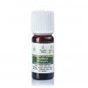HUILE ESSENTIELLE DE WINTERGREEN (GAULTHÉRIE) - 10ML - DE SAINT HILAIRE