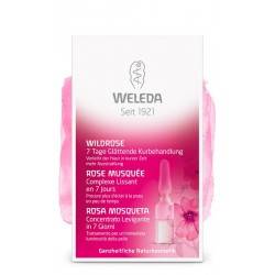 Rose Musquée Complexe Lissant en 7 Jours - 7 x 0.8ml - Weleda