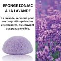 Naturschwamm in Konjac - Lavendel - Sun & Sia